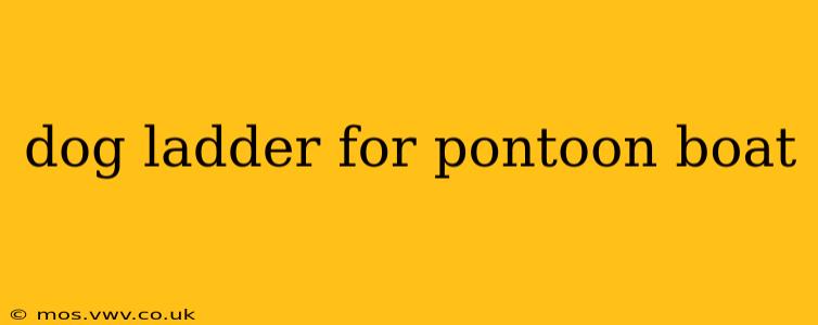 dog ladder for pontoon boat