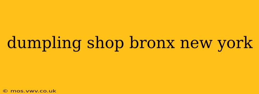 dumpling shop bronx new york