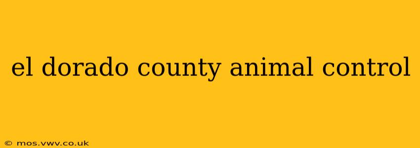 el dorado county animal control