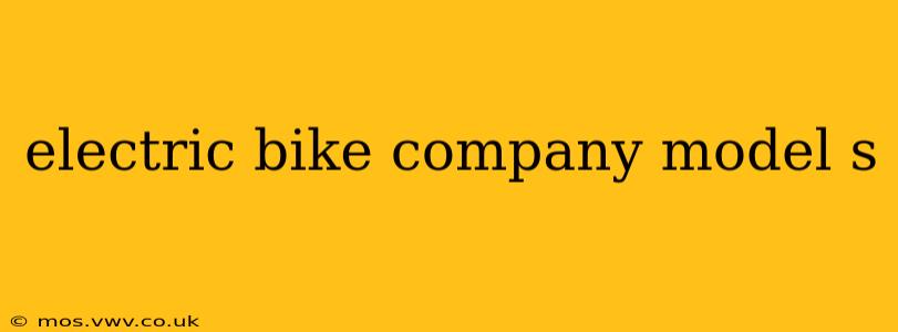 electric bike company model s