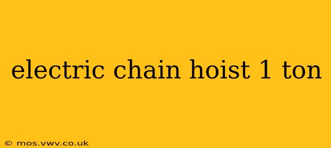 electric chain hoist 1 ton