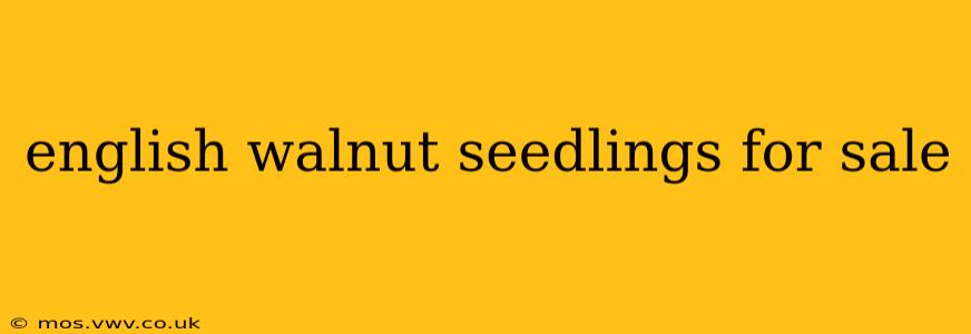 english walnut seedlings for sale