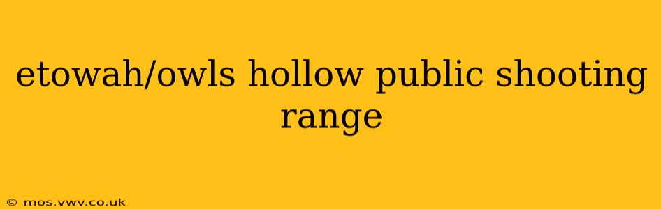 etowah/owls hollow public shooting range