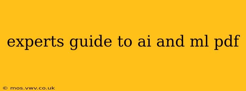 experts guide to ai and ml pdf