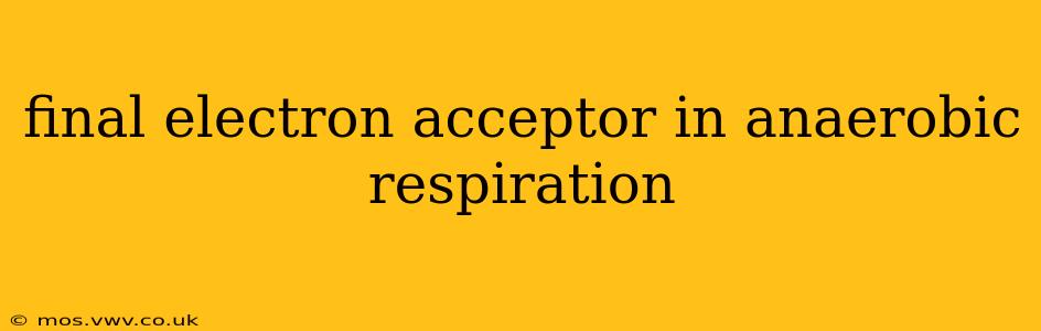 final electron acceptor in anaerobic respiration