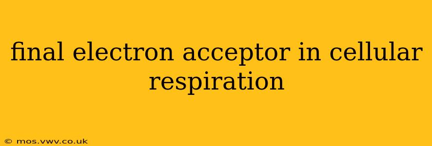 final electron acceptor in cellular respiration