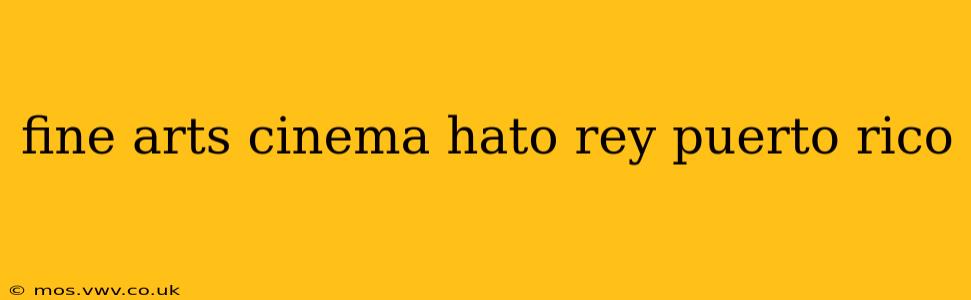 fine arts cinema hato rey puerto rico