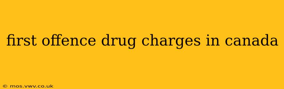 first offence drug charges in canada