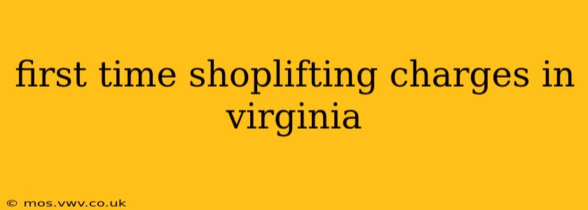first time shoplifting charges in virginia
