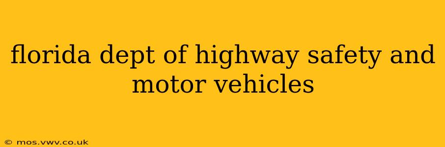 florida dept of highway safety and motor vehicles