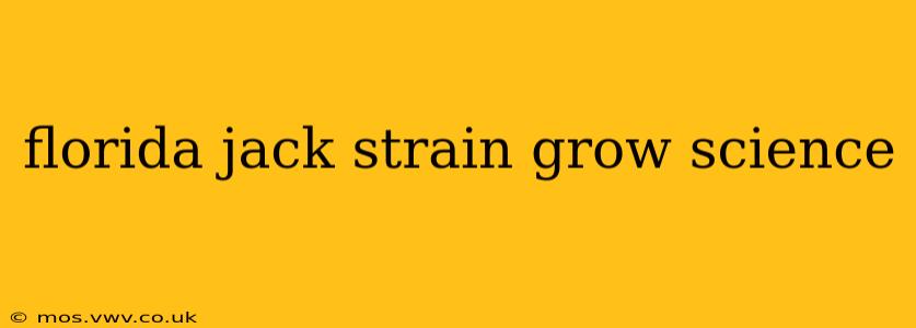 florida jack strain grow science