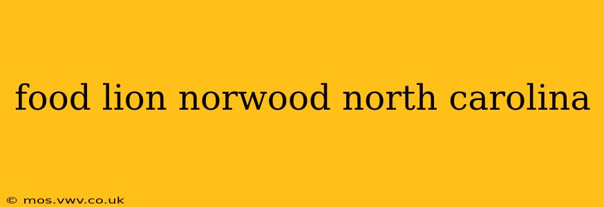 food lion norwood north carolina