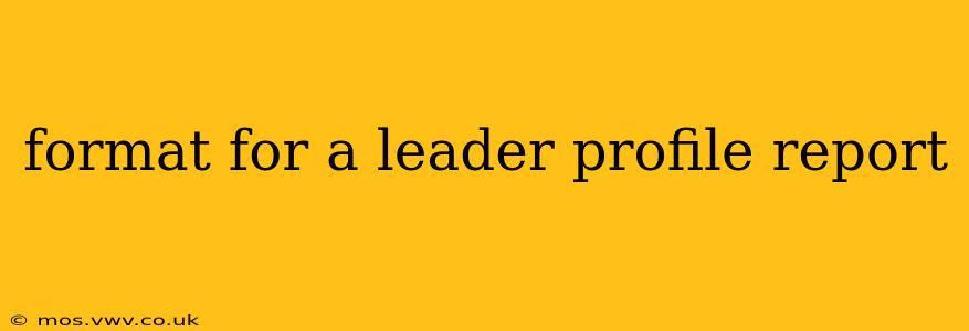 format for a leader profile report