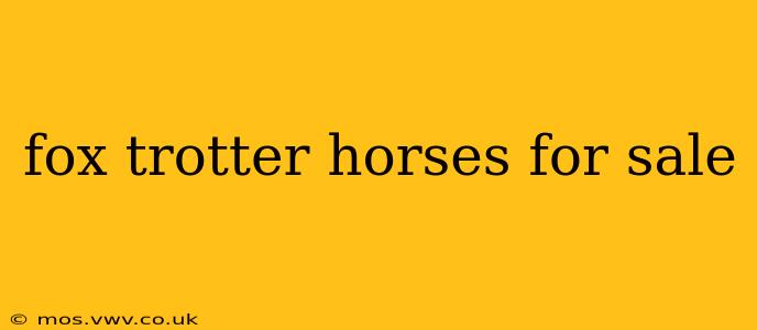fox trotter horses for sale