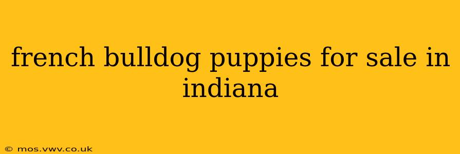 french bulldog puppies for sale in indiana