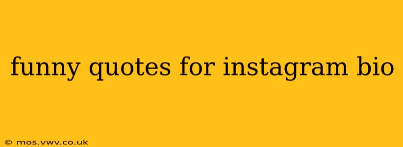 funny quotes for instagram bio