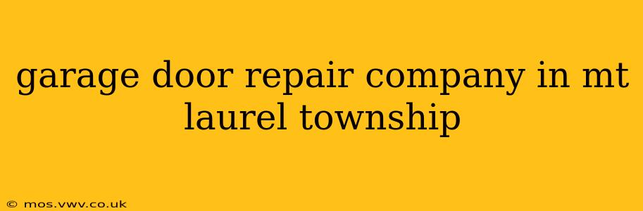 garage door repair company in mt laurel township