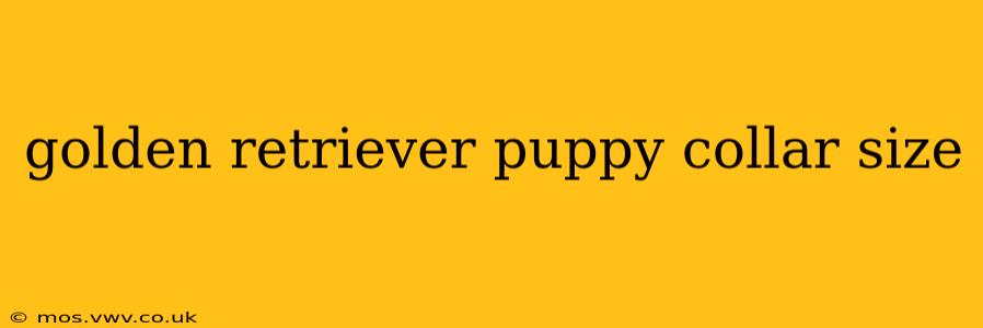 golden retriever puppy collar size