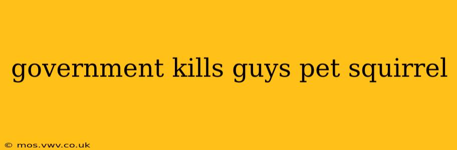 government kills guys pet squirrel