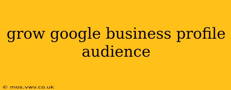grow google business profile audience
