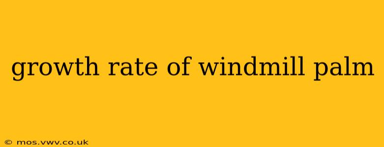 growth rate of windmill palm
