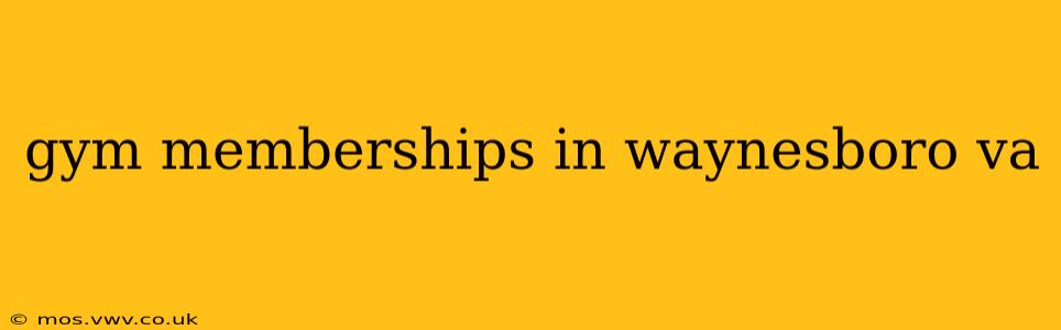 gym memberships in waynesboro va