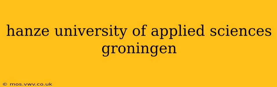 hanze university of applied sciences groningen