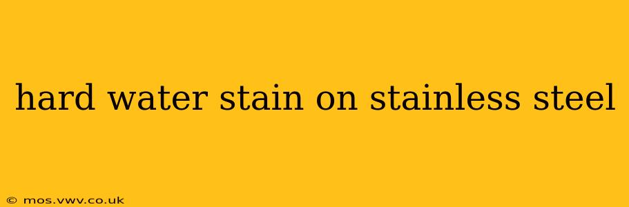 hard water stain on stainless steel