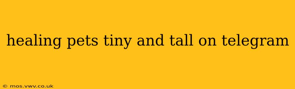 healing pets tiny and tall on telegram