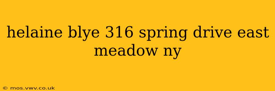 helaine blye 316 spring drive east meadow ny