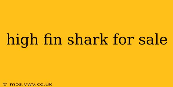 high fin shark for sale