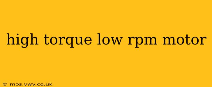high torque low rpm motor