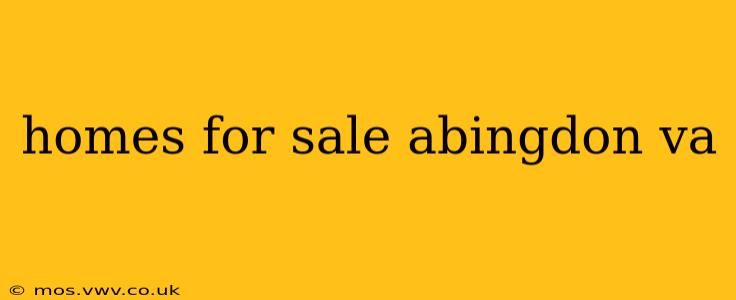 homes for sale abingdon va
