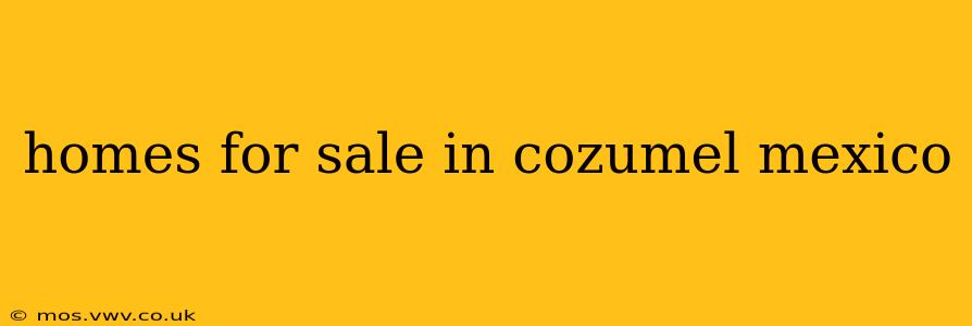 homes for sale in cozumel mexico