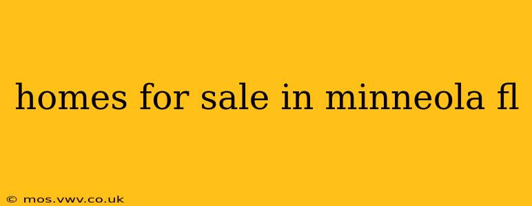homes for sale in minneola fl