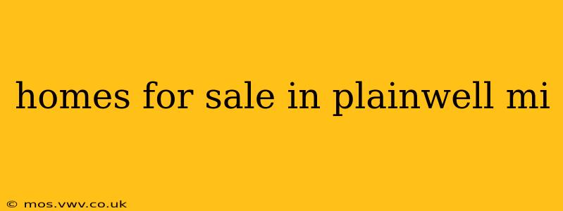 homes for sale in plainwell mi
