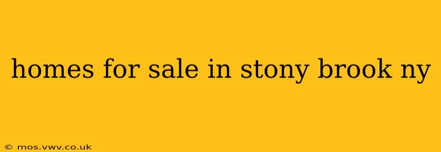 homes for sale in stony brook ny