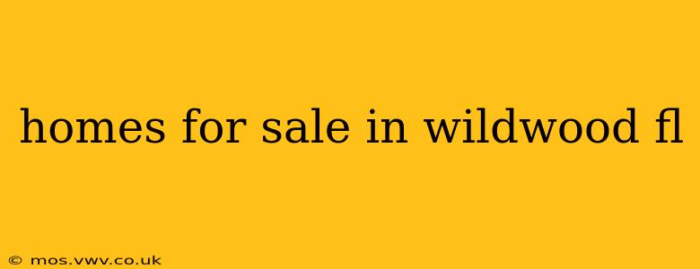 homes for sale in wildwood fl
