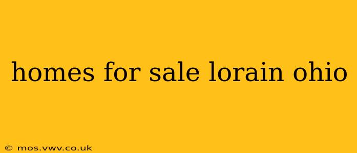homes for sale lorain ohio