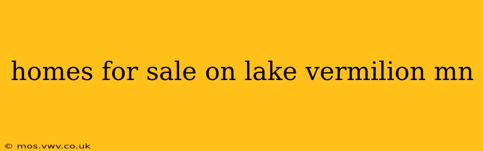 homes for sale on lake vermilion mn