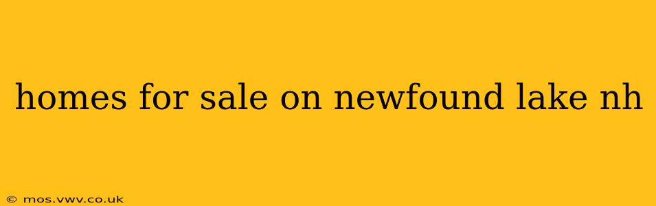 homes for sale on newfound lake nh