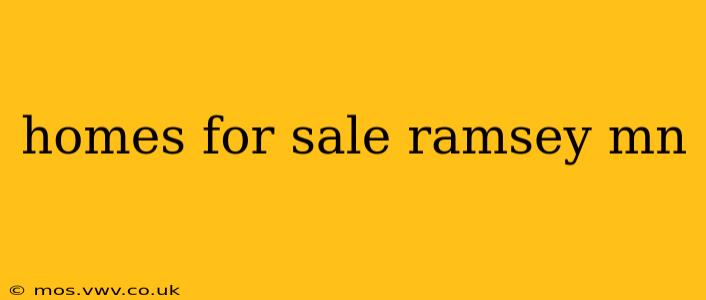 homes for sale ramsey mn