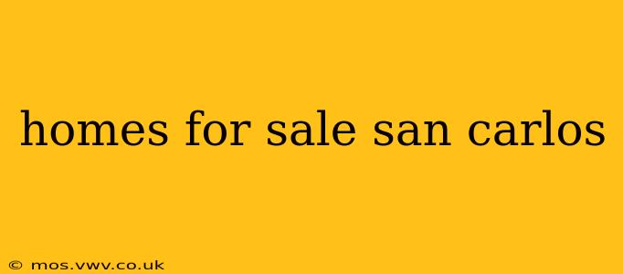 homes for sale san carlos
