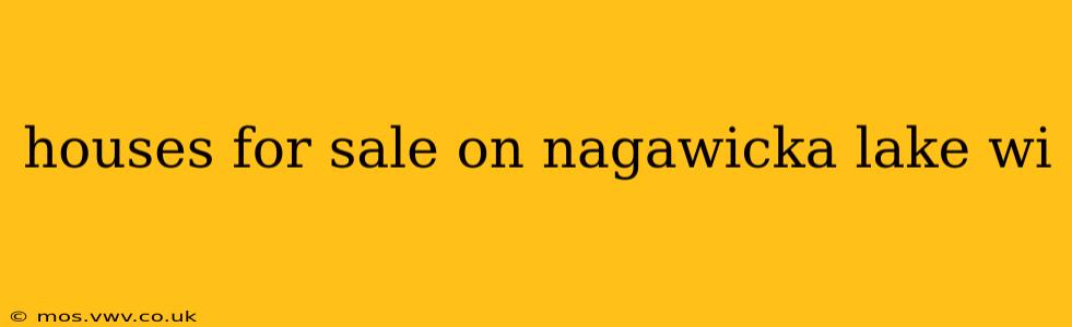 houses for sale on nagawicka lake wi