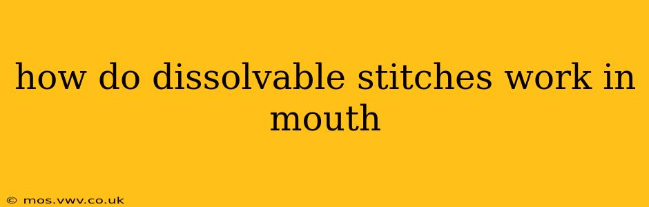 how do dissolvable stitches work in mouth