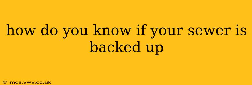 how do you know if your sewer is backed up