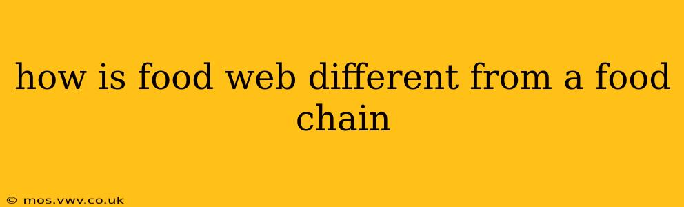 how is food web different from a food chain