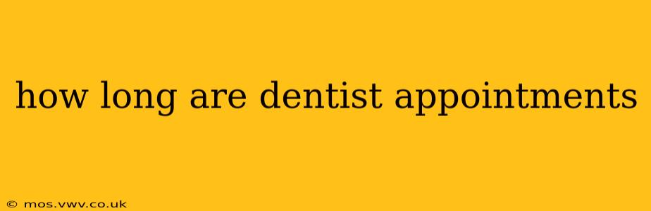 how long are dentist appointments