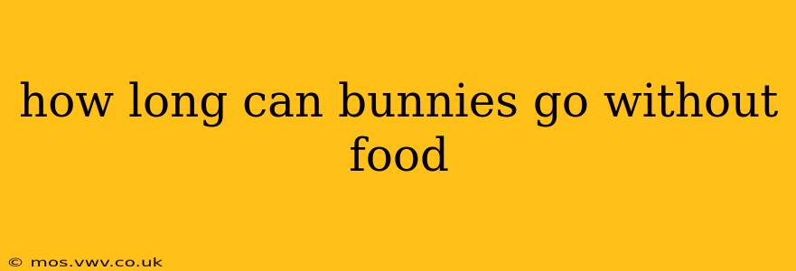 how long can bunnies go without food