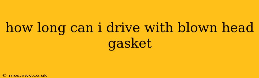 how long can i drive with blown head gasket